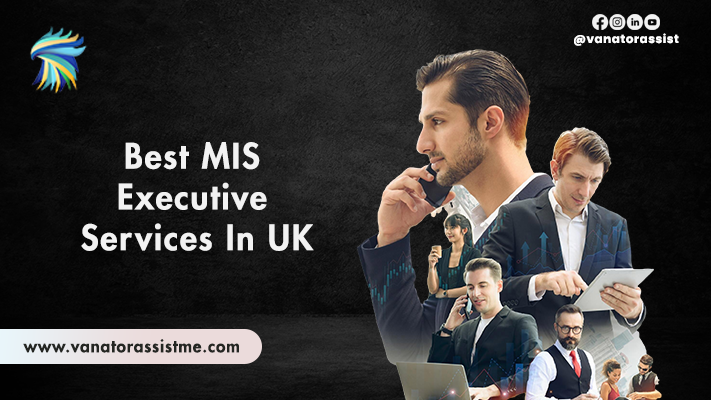 Best MIS Executive Services in UK